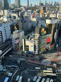 俯瞰東京的雙重魅力：新宿都廳與澀谷SKY的觀景台之旅 🌇✨
