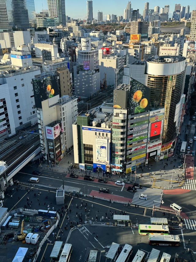 俯瞰東京的雙重魅力：新宿都廳與澀谷SKY的觀景台之旅 🌇✨