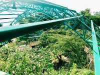 Hiking the Lush Green Taman Tumbina Zoo