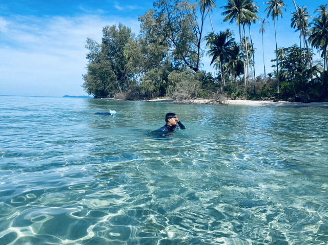 ดำน้ำดูปะการังเกาะกูด—ใต้ทะเลที่สวยจนหยุดหายใจ