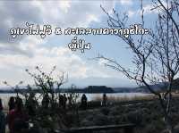 ภูเขาไฟฟูจิ & ทะเลสาบคาวากูชิโกะ ดีย์ต่อใจ
