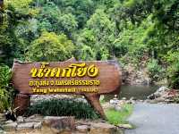 น้ำตกโยง ทุ่งสง