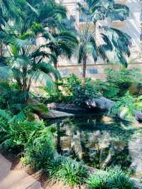 Springtime Bliss at Gaylord Palms Resort, Florida