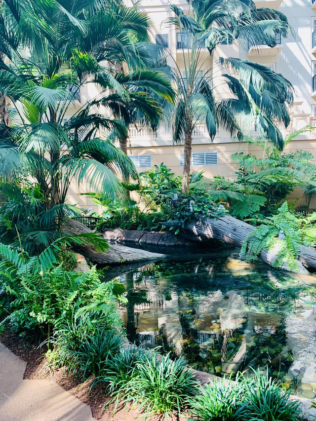 Springtime Bliss at Gaylord Palms Resort, Florida