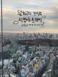도쿄여행 2박3일 일정 대공개