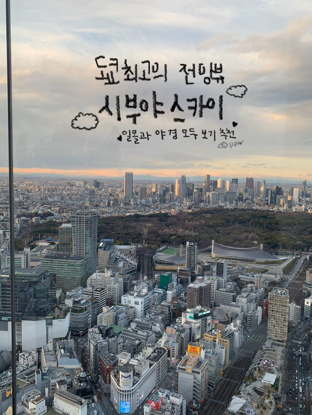 도쿄여행 2박3일 일정 대공개