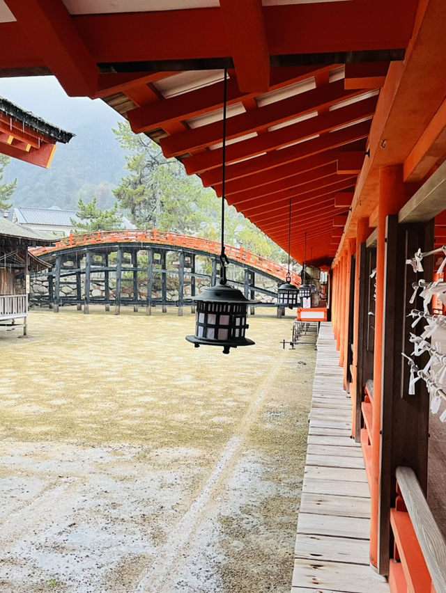 ⛩️ ✅厳島神社（Itsukushima Shrine）攻略ガイド 🦌