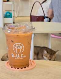 Paws Up Cafe คาเฟ่แมวพัฒนาการ