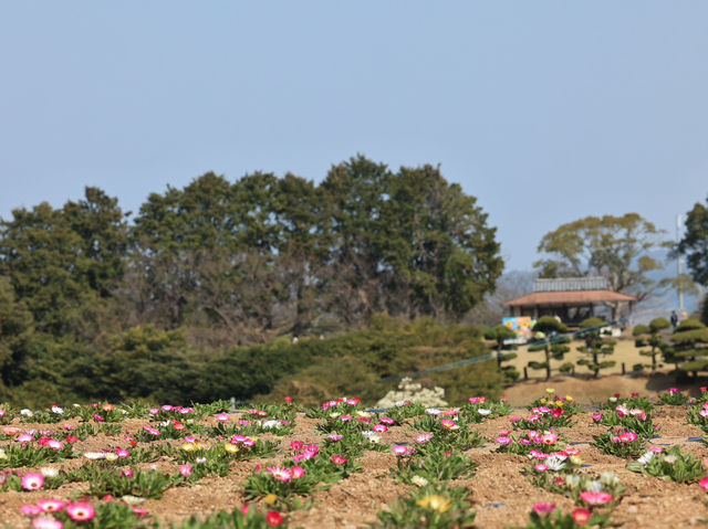 能古島海島公園：用不落幕的詩意花園