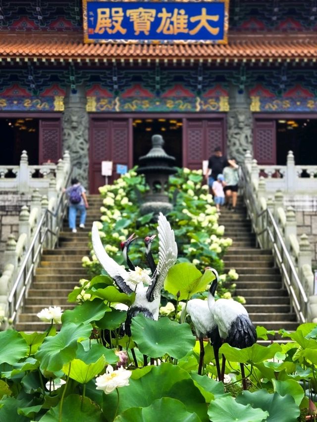 🙏【大嶼山寶蓮禪寺抄經靜心攻略】  