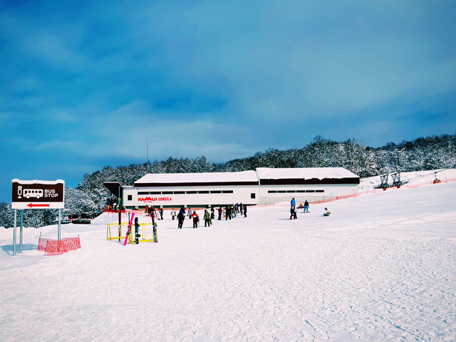 【極上パウダー】コスパ最強！カムイスキーリンクスで大満足❄️