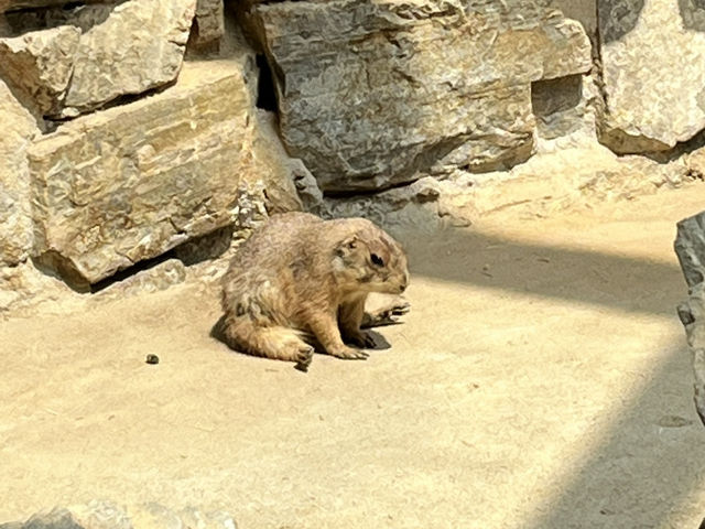 忠清南道　ソチョン郡にある国立生態園✨☘️