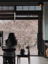 2층에 앉으면 벚꽃 그림을 볼 수 있는 나주 카페