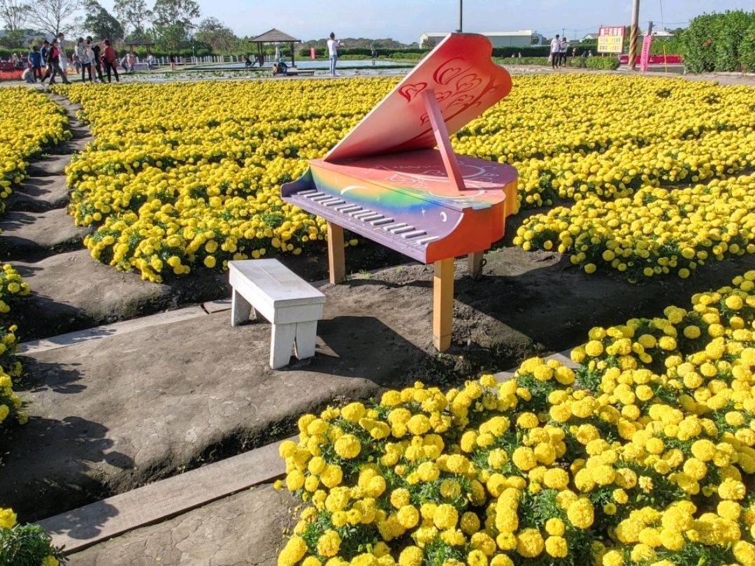 2026年 Zhongshe flower market taichung観光スポットおすすめ| Trip