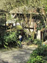 藏身山林的卓也小屋度假園區🎋