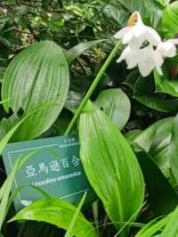 #臺北植物園-臺北市中正區