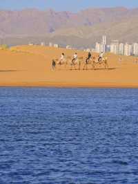 🏜️🌊 Have You Ever Seen the Ocean in the Desert?