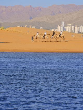 🏜️🌊 Have You Ever Seen the Ocean in the Desert?