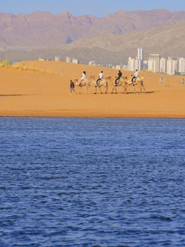 🏜️🌊 Have You Ever Seen the Ocean in the Desert?