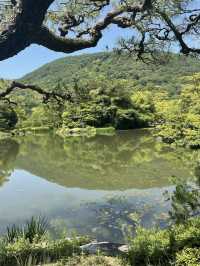 A Green Oasis: Ritsurin Garden