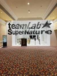 光影實驗室Team Lab: 治癒人心的希望星光