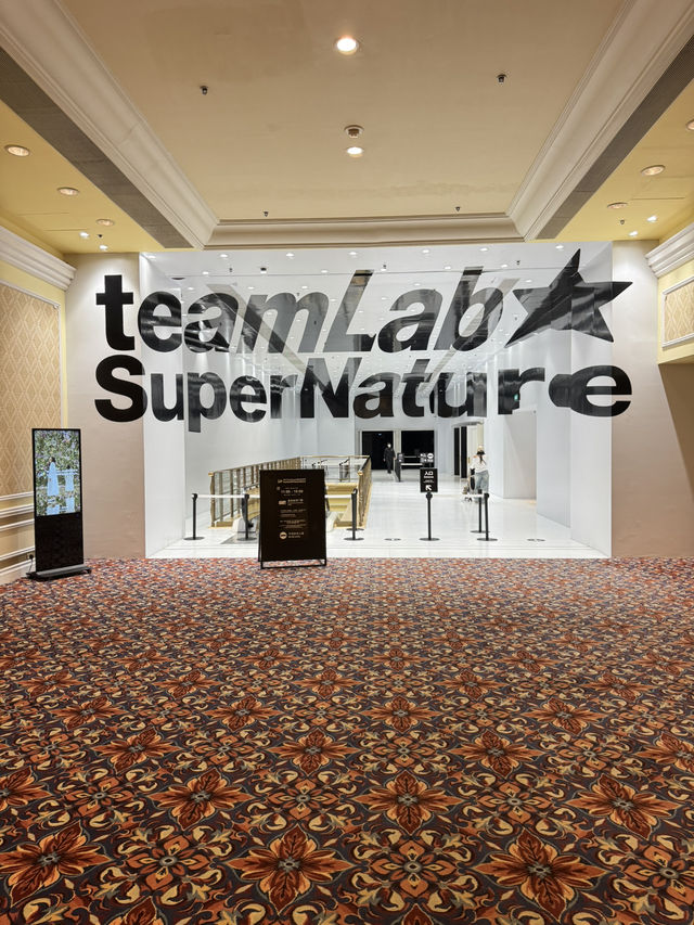 光影實驗室Team Lab: 治癒人心的希望星光 光影實驗室Team Lab: 治癒人心的希望星光