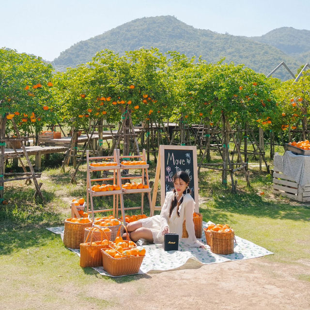 รวม 7 โลเคชั่นกาญจนบุรี มันดีมาก! 🎼🌳 