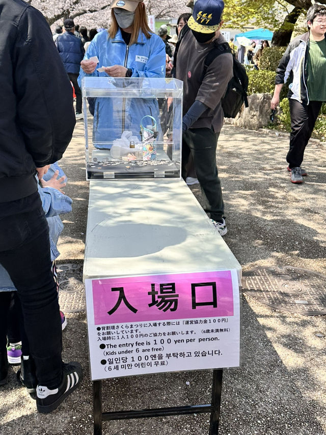 【京都】石清水八幡宮駅から行ける桜祭りは必見！
