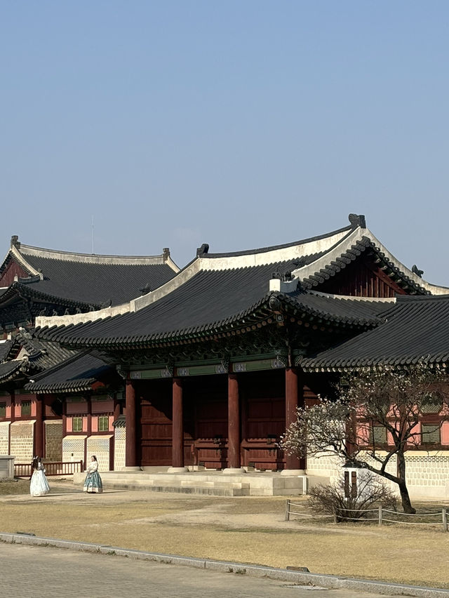 경복궁 나들이 가보자