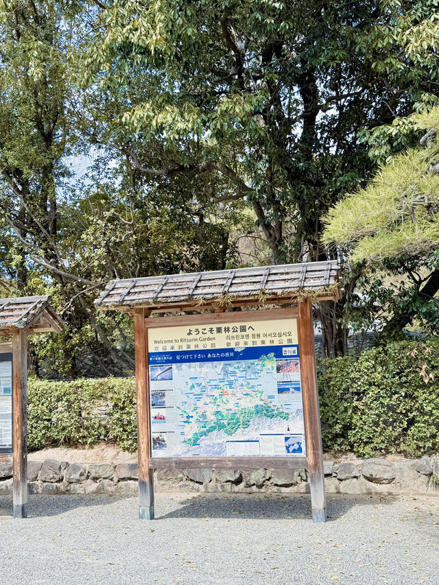 일본 자연 끝판왕 이 곳이에요🇯🇵