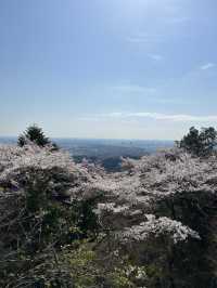 週末リフレッシュ！自然とグルメを満喫する高尾山ハイキング