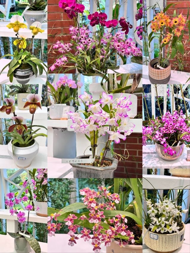 Canton Orchid Garden (Lanpu Park)