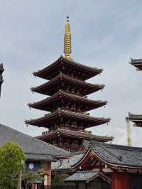 東京｜淺草寺櫻花一日遊 🌸