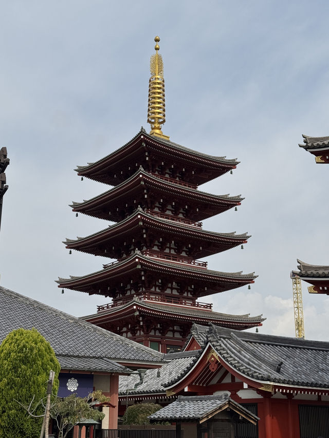 東京｜淺草寺櫻花一日遊 🌸