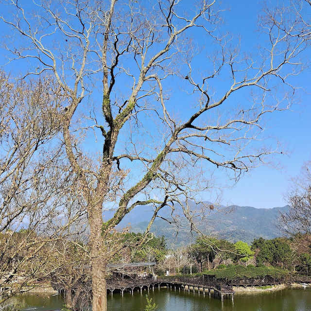 新社古堡莊園