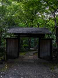旧朝倉家住宅の建築を見て回ってみる