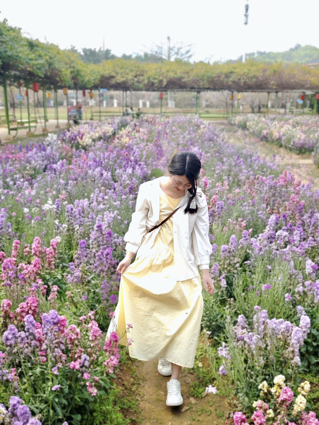 💓盈香心動樂園打卡篇