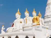วัดพระวรราชาทินัดดามาตุ 