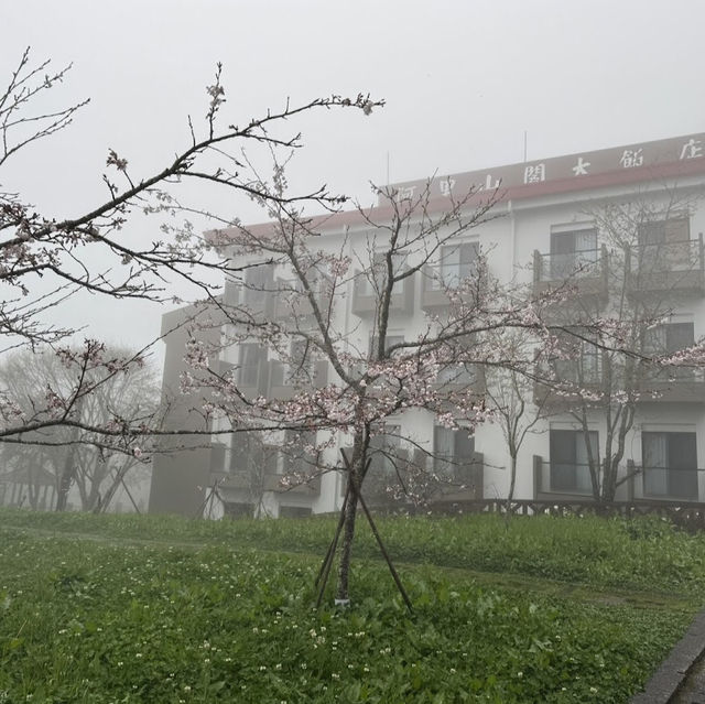 祝山觀日步道 Zhushan Sunrise Trail