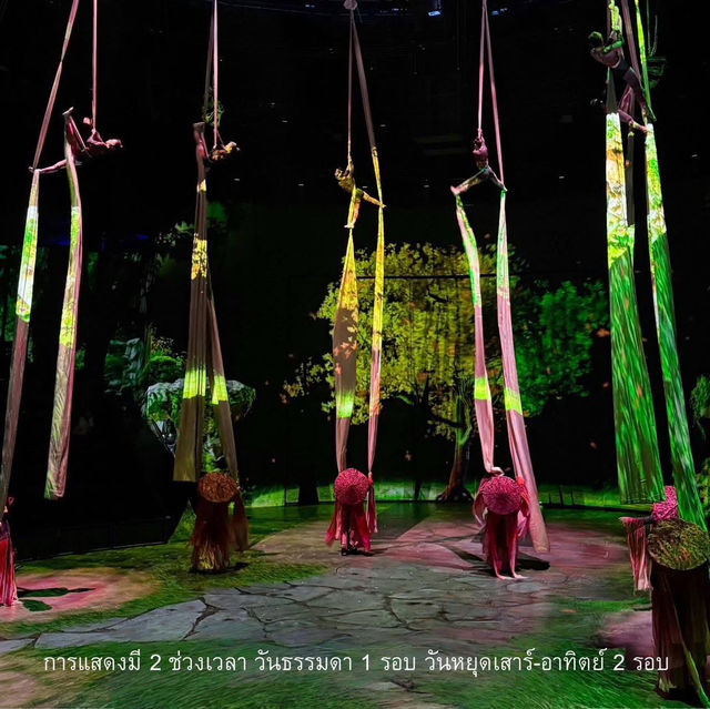 ไปชมโชว์กายกรรมสุดตื่นตาตื่นใจแสงสีสวย