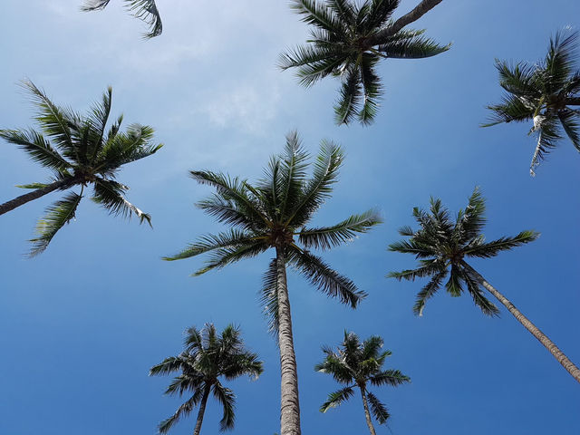 ที่พักสุดชิค Awa Koh Chang