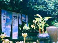 Hemei Tantang: A Dreamy Ride Through Lotus Fields