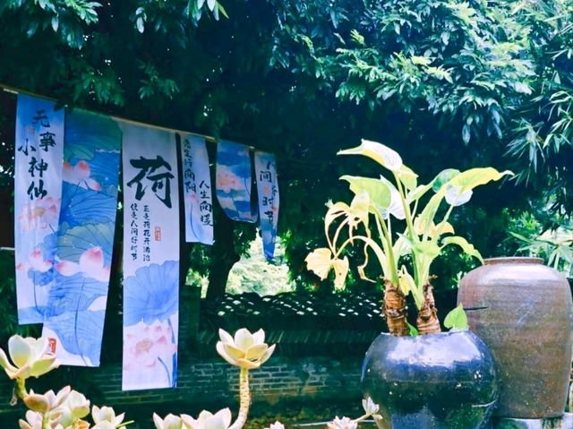 Hemei Tantang: A Dreamy Ride Through Lotus Fields