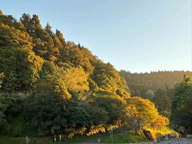 อาลีซาน 阿里山
