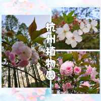 自由行：就在杭州不遠處。。。