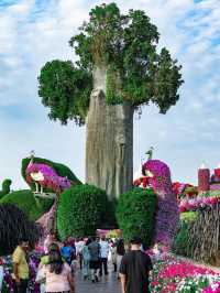Dubai Miracle Garden