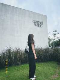 Hidden Forest Vibes: Discover Cooperwood Hat Yai 🍃