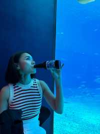  Okinawa Churaumi Aquarium 
