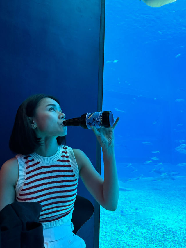  Okinawa Churaumi Aquarium 