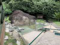 ♨️ Poring Hot Spring: Relax in Nature’s Spa Near KK!